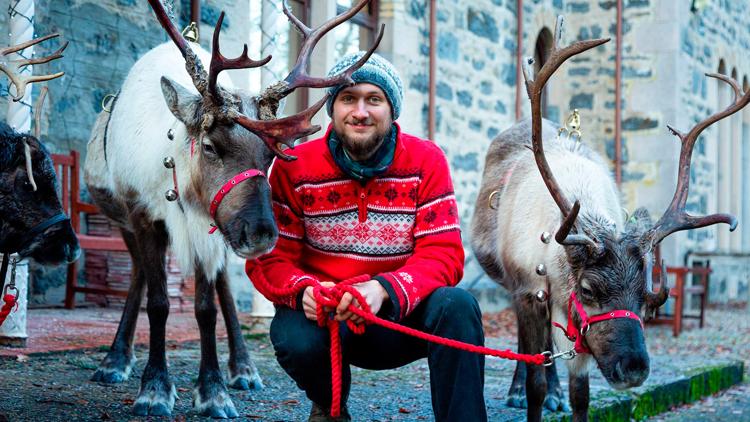 Постер A Baby Reindeer's First Christmas