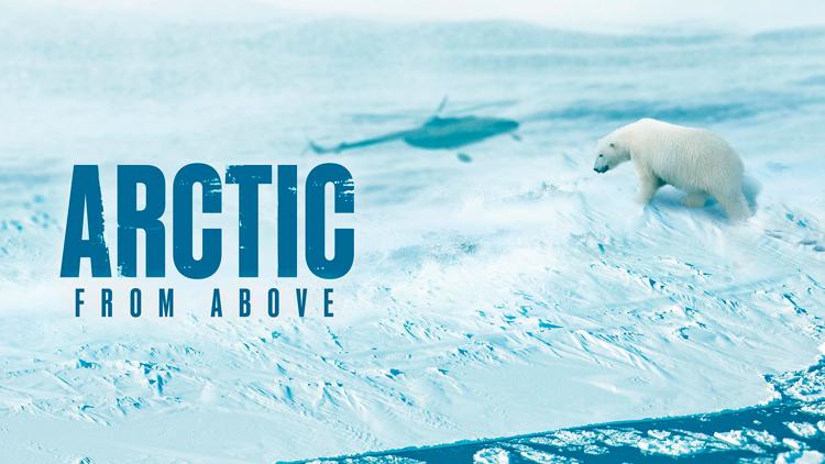 Постер Arctic from Above