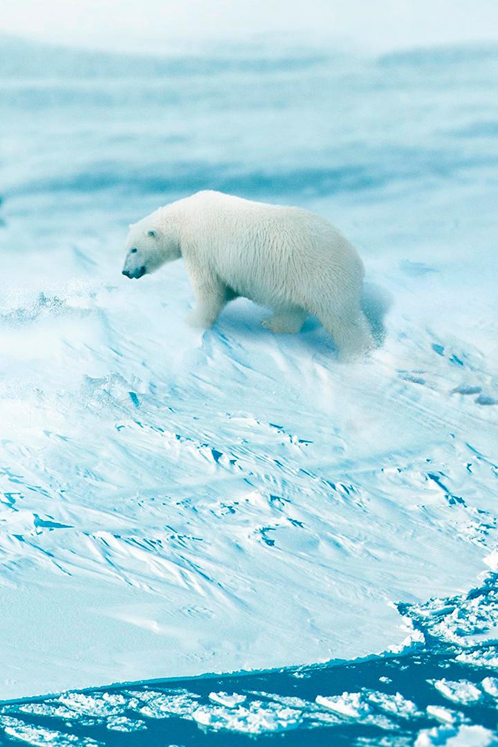 Arctic from Above (arctic-from-above) Документальный сериал