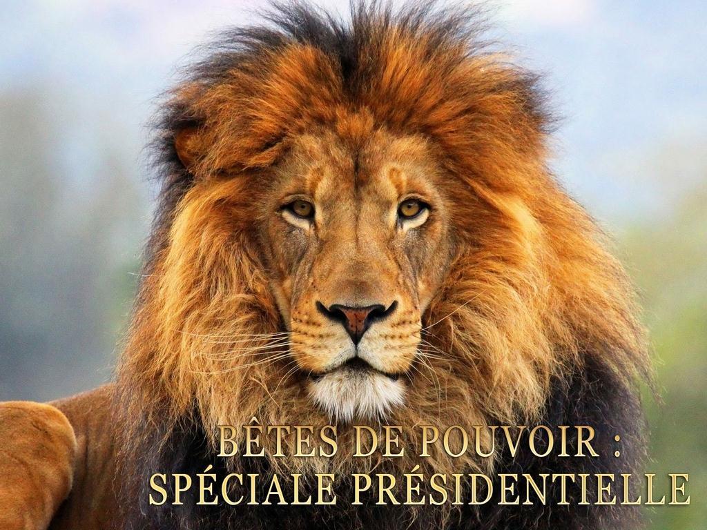 Bêtes de pouvoir : spéciale Présidentielle (btes-de-pouvoir-spciale-prsidentielle) Познавательное