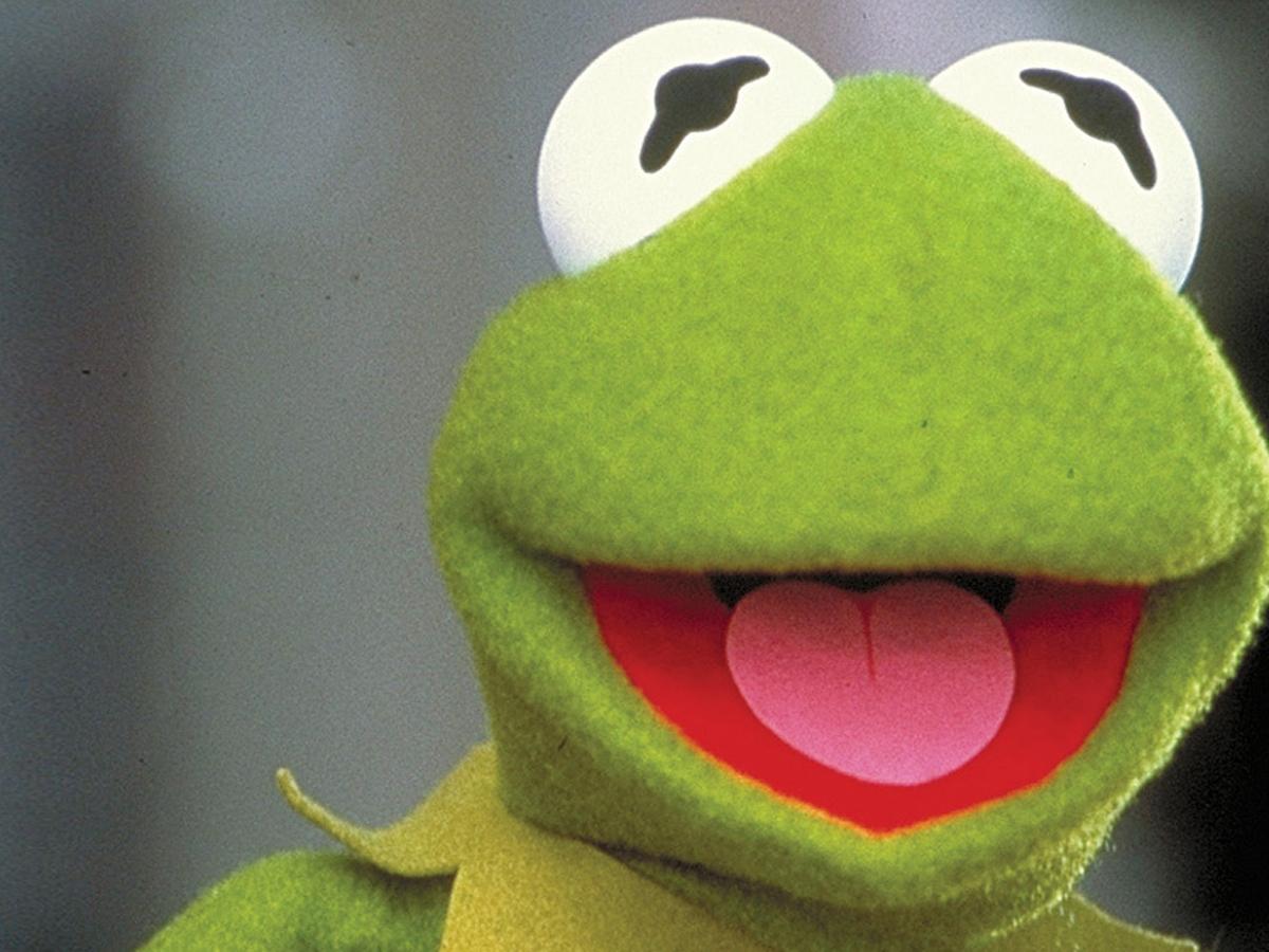 Лягушонок Кермит: Годы в болоте (ljagushonok-kermit-gody-v-bolote) Фильм 2002