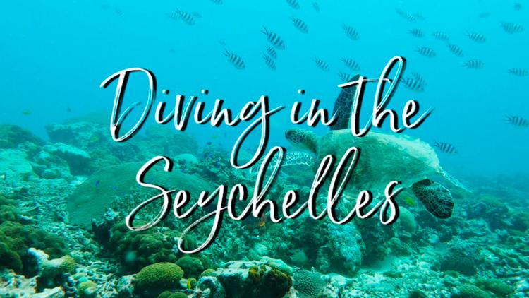 Постер VR Experience. Diving in Seychelles