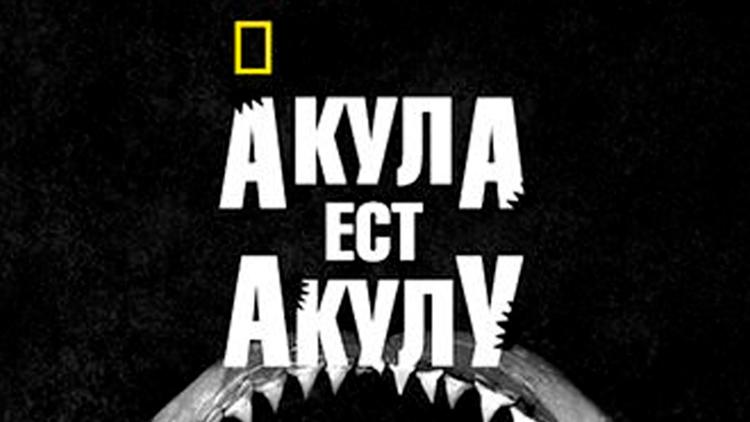 Постер Акула ест акулу