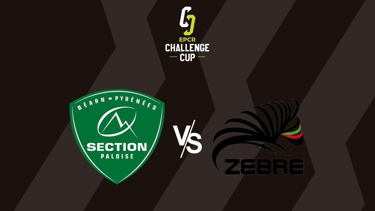 Постер Rugby : Challenge Cup. Pau / Parme Zebre