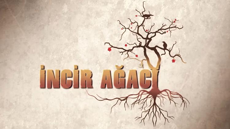 Постер İncir Ağacı