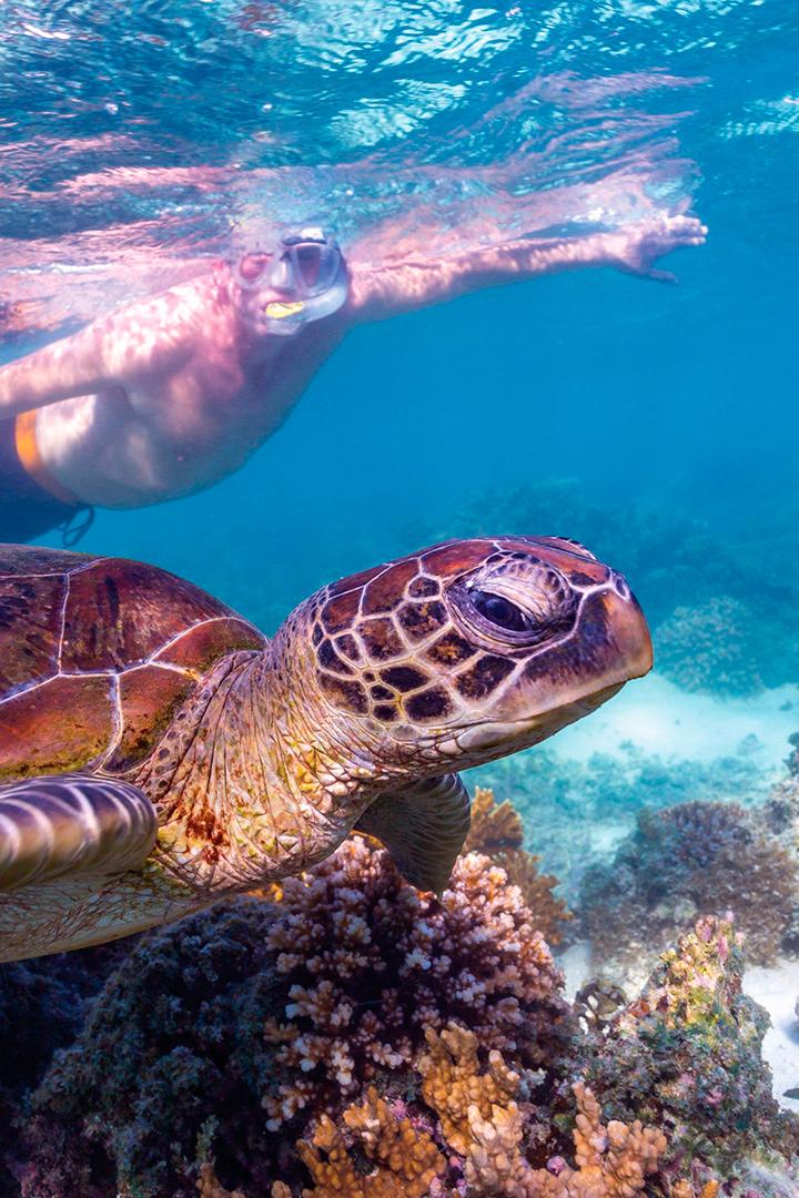 Ningaloo Marine Park, Western Australia (ningaloo-marine-park-western-australia) Досуг, хобби