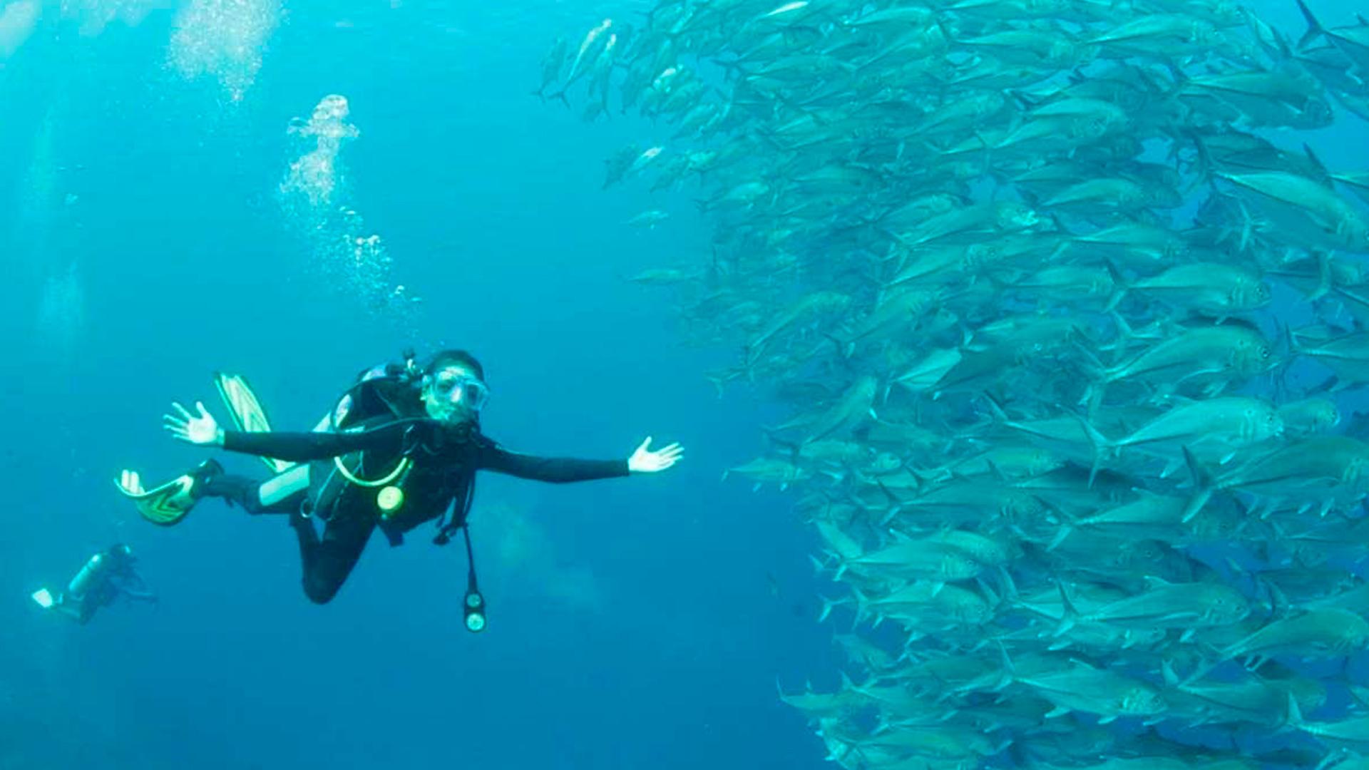 Pesona Indonesia. Wakatobi (pesona-indonesia-wakatobi) Досуг, хобби