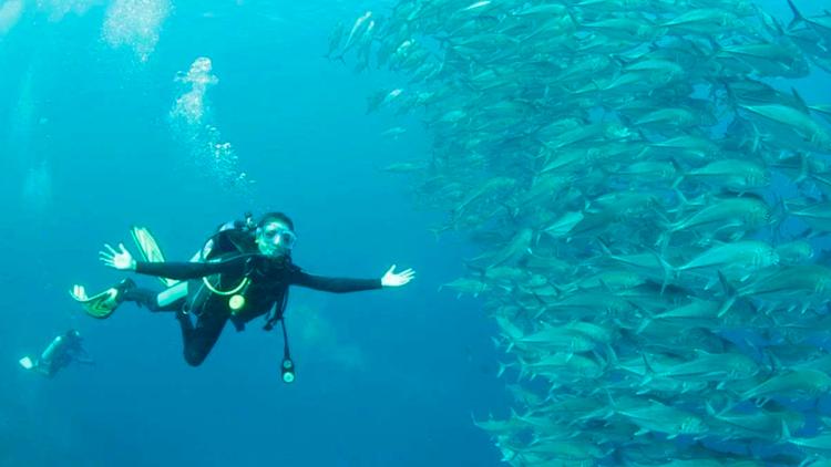 Постер Pesona Indonesia. Wakatobi