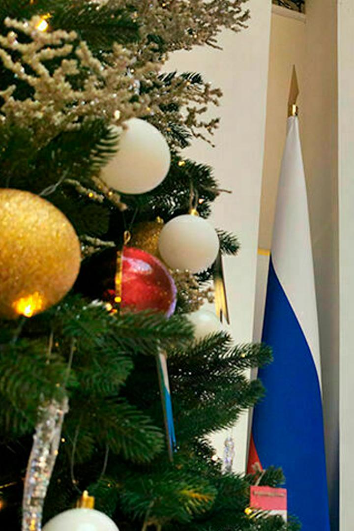 ХII Рождественские Парламентские встречи (hii-rozhdestvenskie-parlamentskievstrechi) Другое