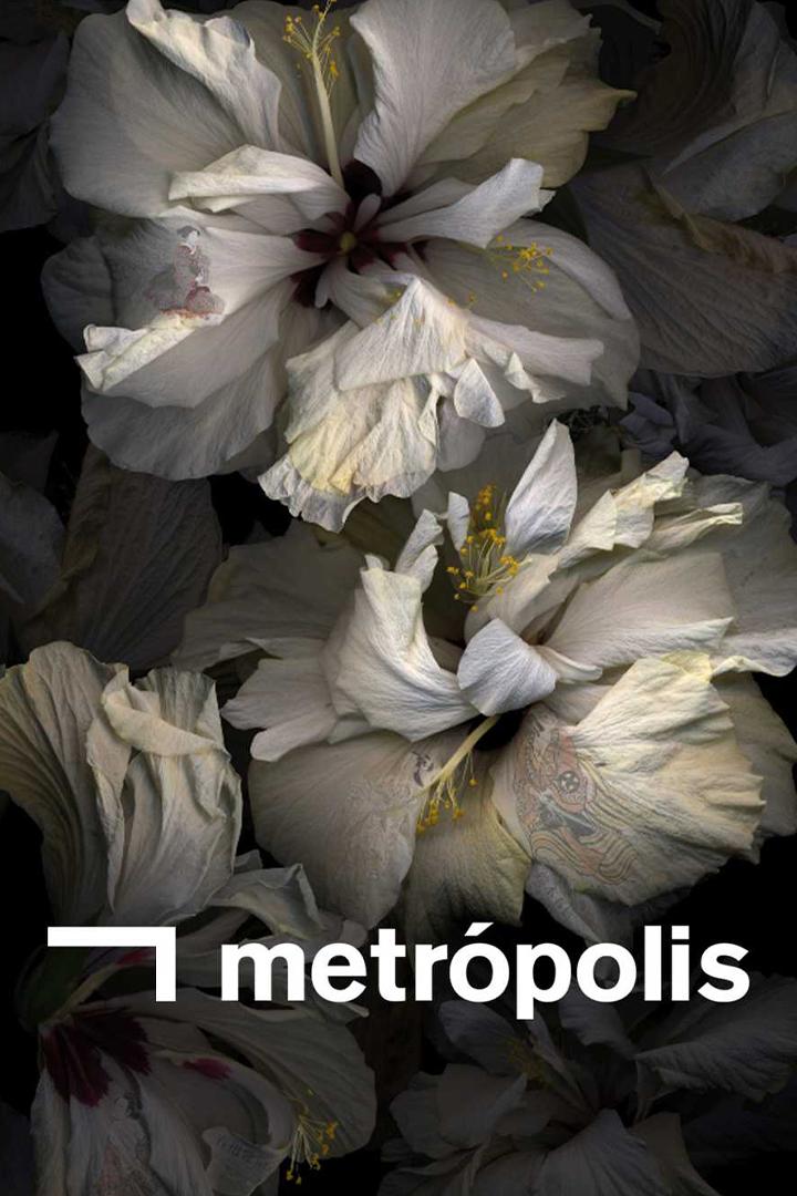 Metrópolis (metrpolis) Новости