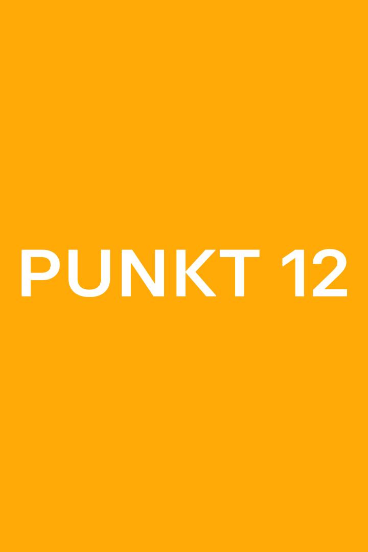 Punkt 12 (punkt-12) Новости