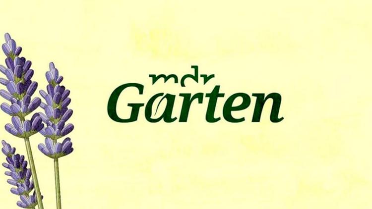 Постер MDR Garten