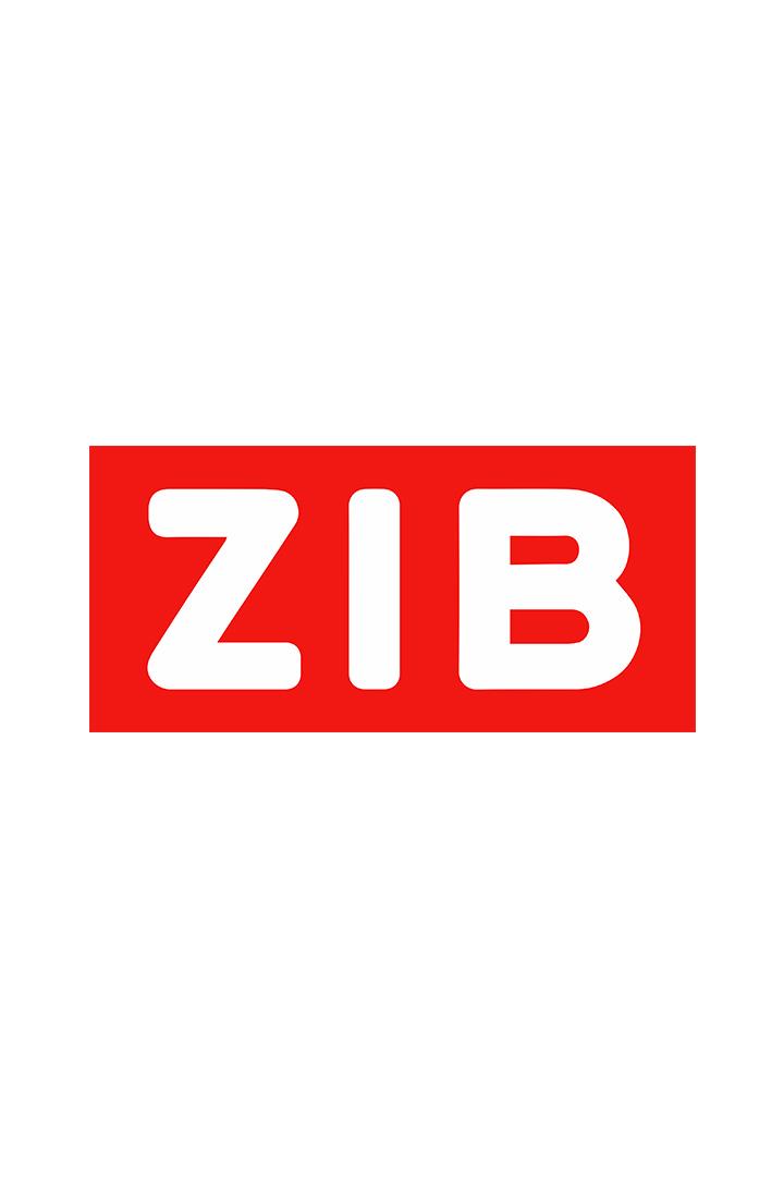 ZIB (zib) Новости