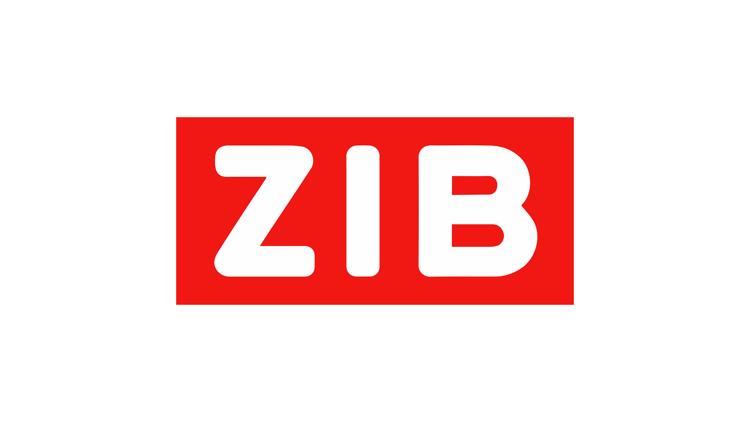 Постер ZIB