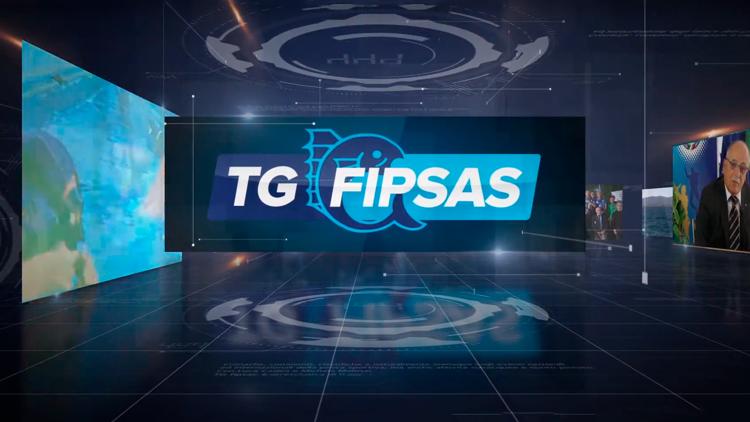 Постер Fipsas