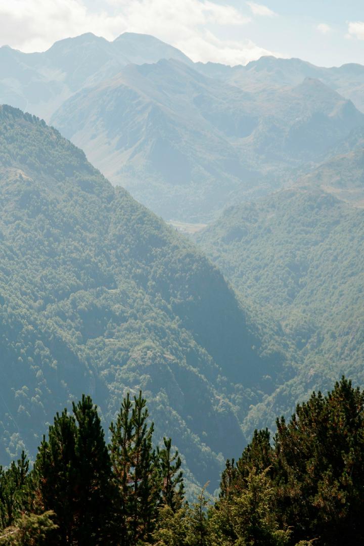 Три оттенка Пиренеев (tri-ottenka-pireneev) Документальный фильм