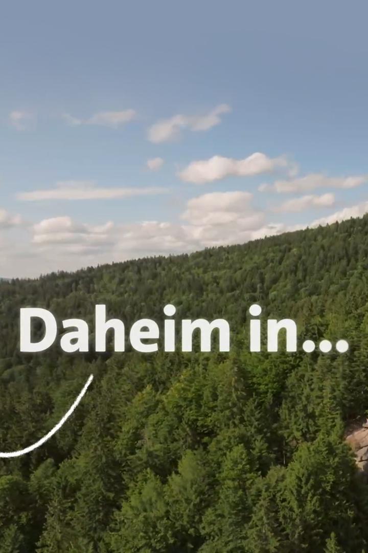 Daheim in... (daheim-in) Познавательное