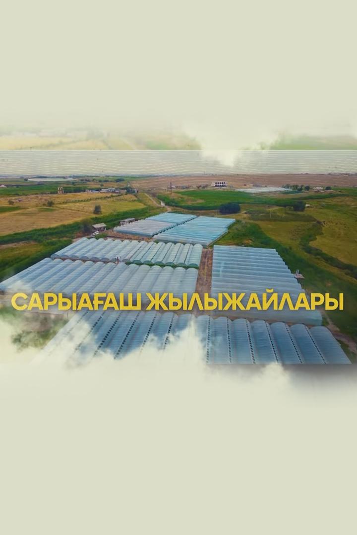 Сарыағаш жылыжайлары (saryaash-zhylyzhajlary) Досуг, хобби