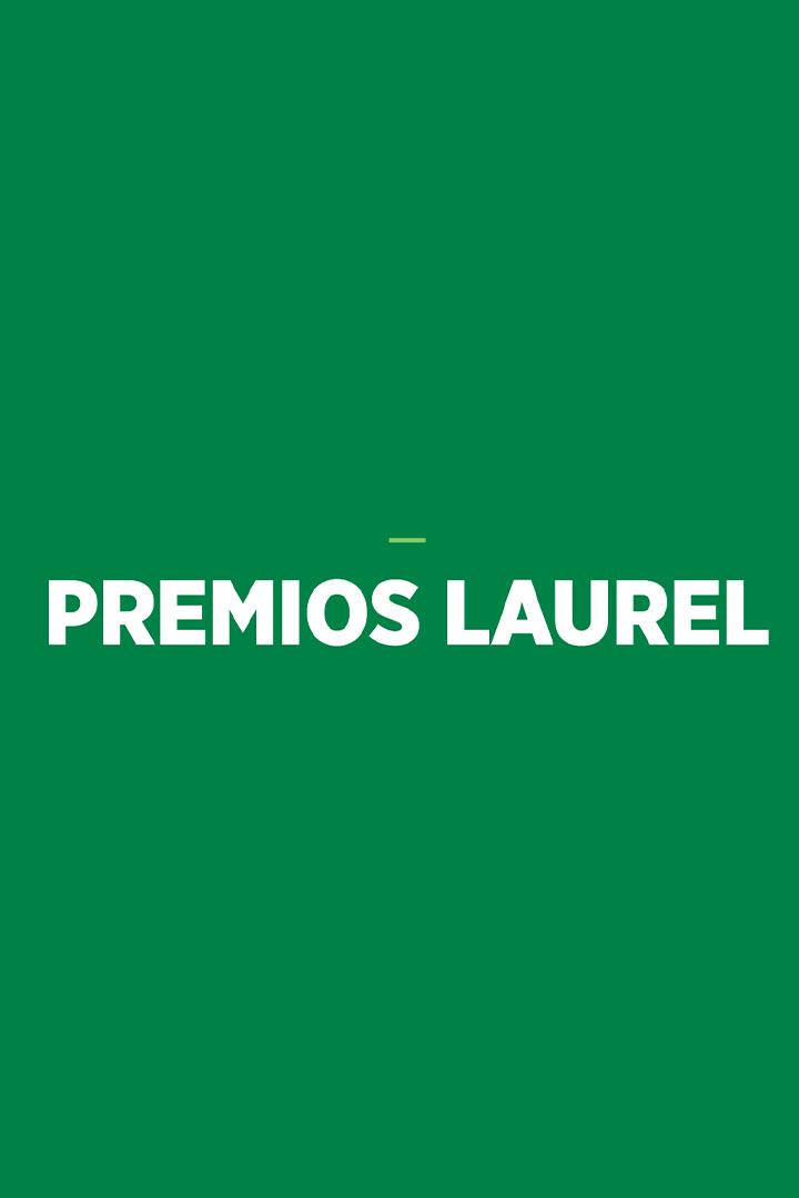 Premios Laurel Murcia 2024 (premios-laurel-murcia-2024) Другое