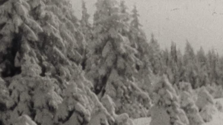 Постер Kleine Winterreise in den Harz