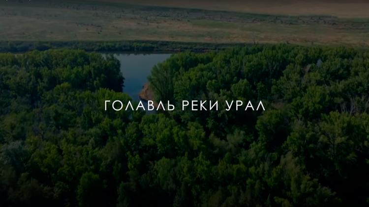 Постер Голавль реки Урал