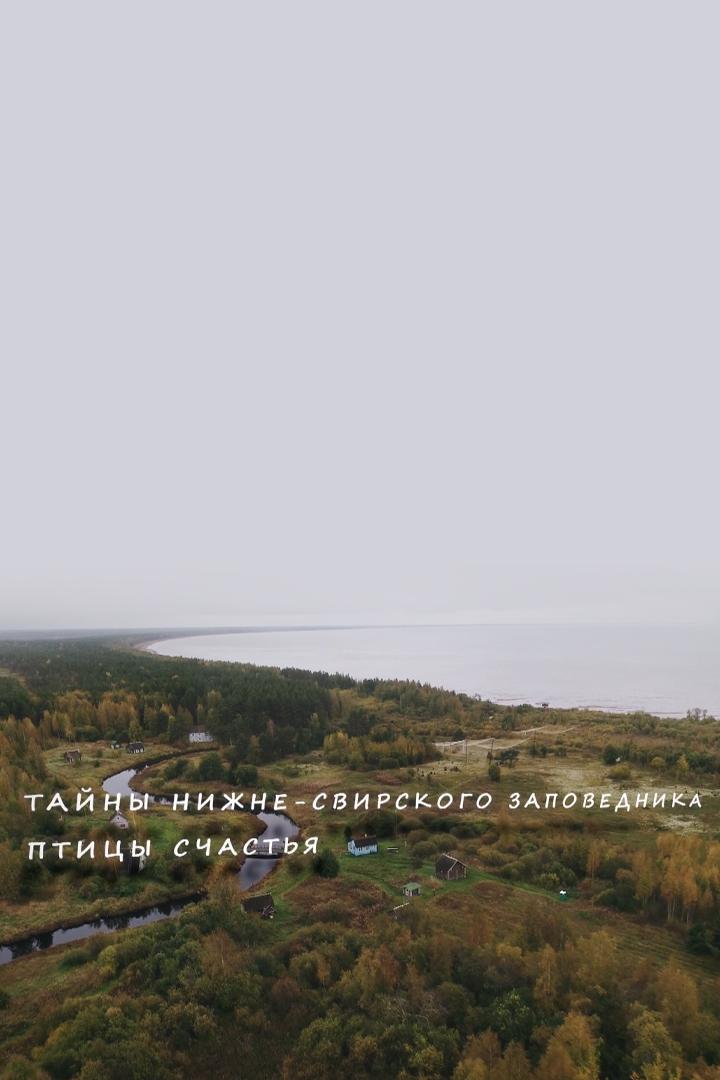 Тайны Нижне-Свирского заповедника. Птицы счастья (tajny-nizhne-svirskogo-zapovednika-ptitsy-schastja) Документальный фильм