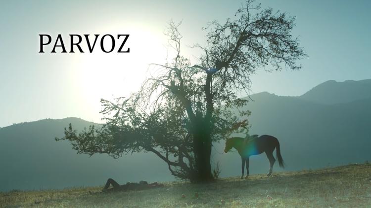 Постер Parvoz