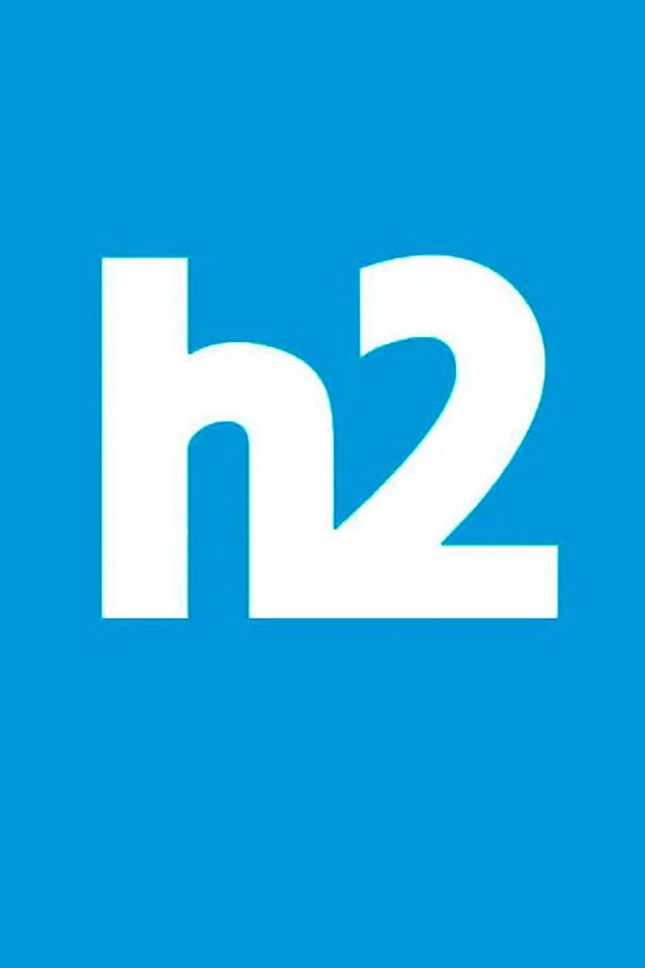 H2 (h2) Другое