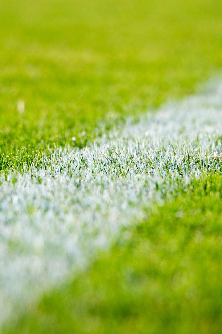 Fc Kopenhag Şampiyonlar (fc-kopenhag-ampiyonlar) Досуг, хобби