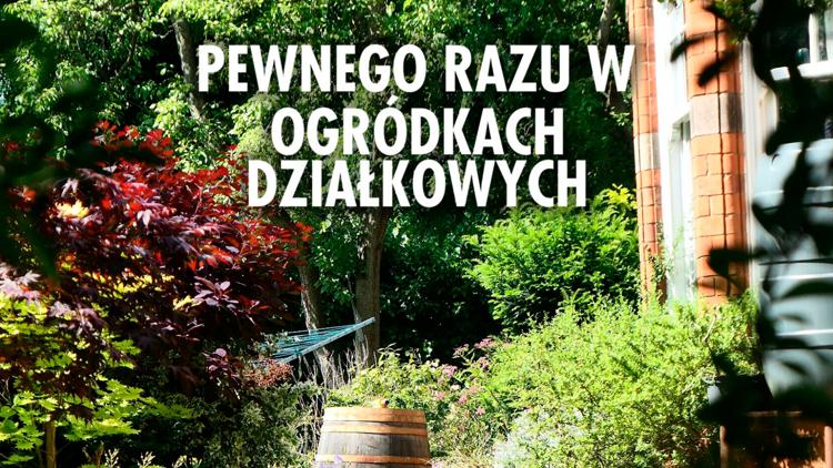 Постер Pewnego razu w Ogródkach Działkowych