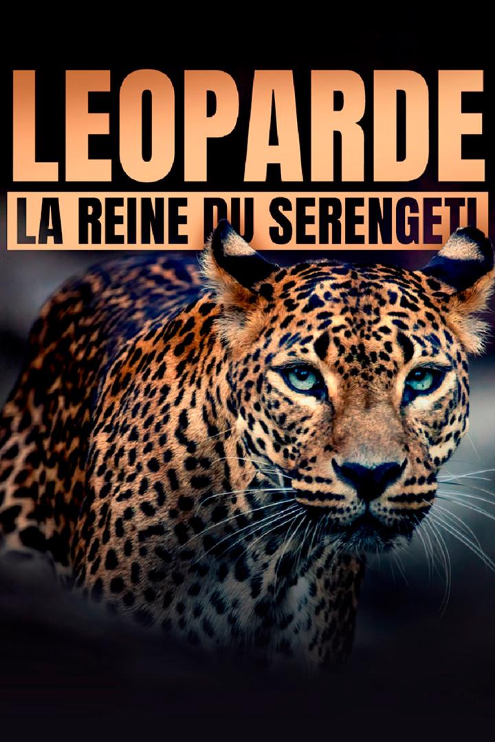 Léoparde : la reine du Serengeti (loparde-la-reine-du-serengeti) Документальный сериал