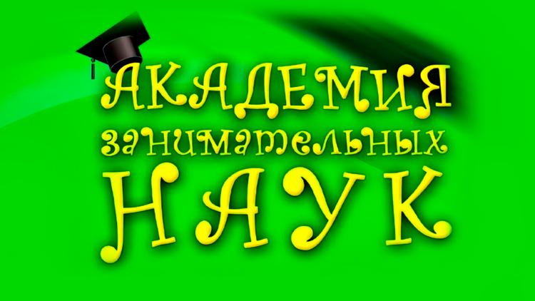 Постер Академия занимательных наук