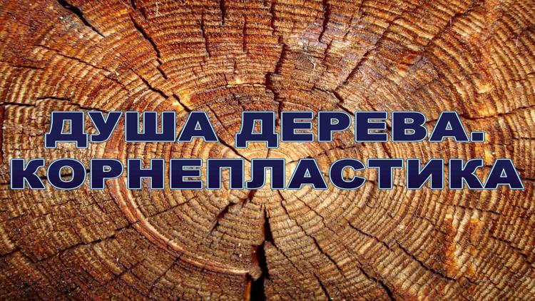 Постер Душа дерева. Корнепластика