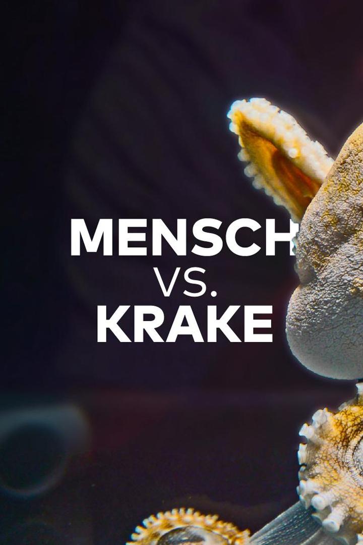 Mensch vs. Krake (mensch-vs-krake) Другое