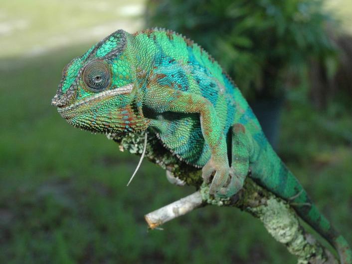 Природная инженерия (prirodnaja-inzhenerija) Документальный сериал