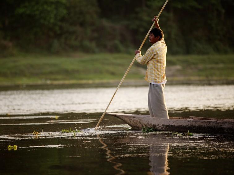 На защите носорогов (na-zaschite-nosorogov) Документальный фильм