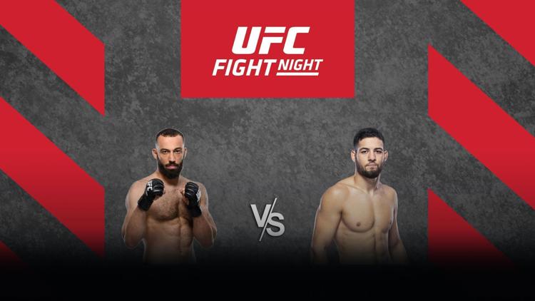 Постер UFC Fight Night: დოლიძე vs. იმავოვი