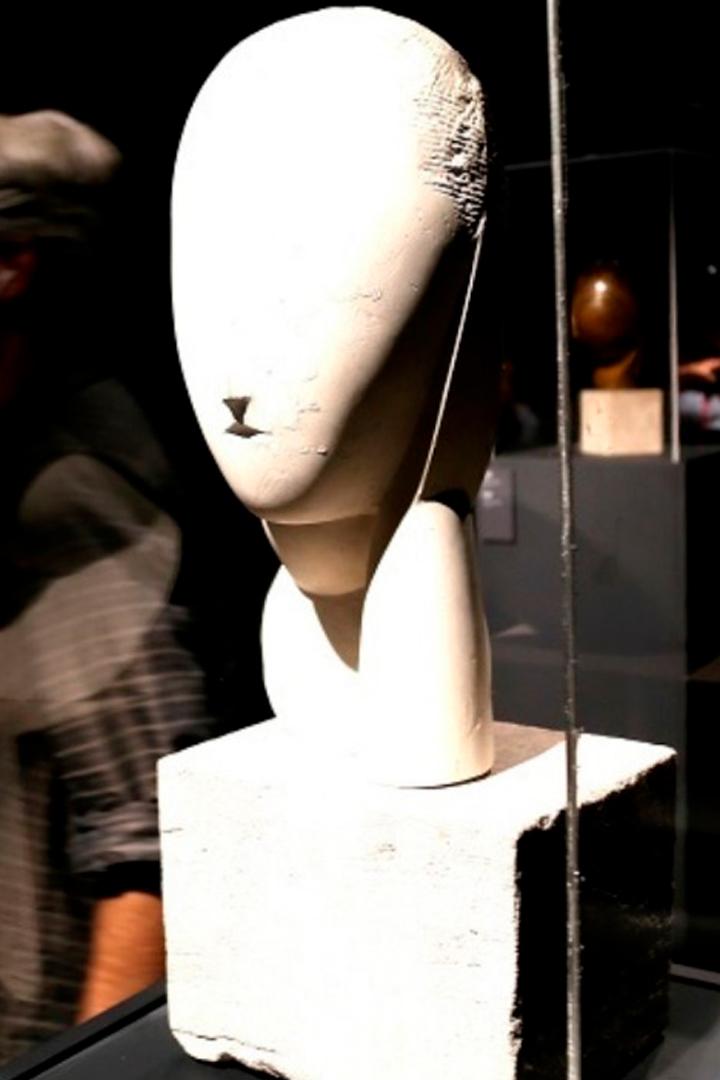 Brancusi, patriotism prin ordonanta de urgenta (brancusi-patriotism-prin-ordonanta-de-urgenta) Документальный фильм