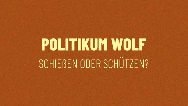 Постер Politikum Wolf – schießen oder schützen?