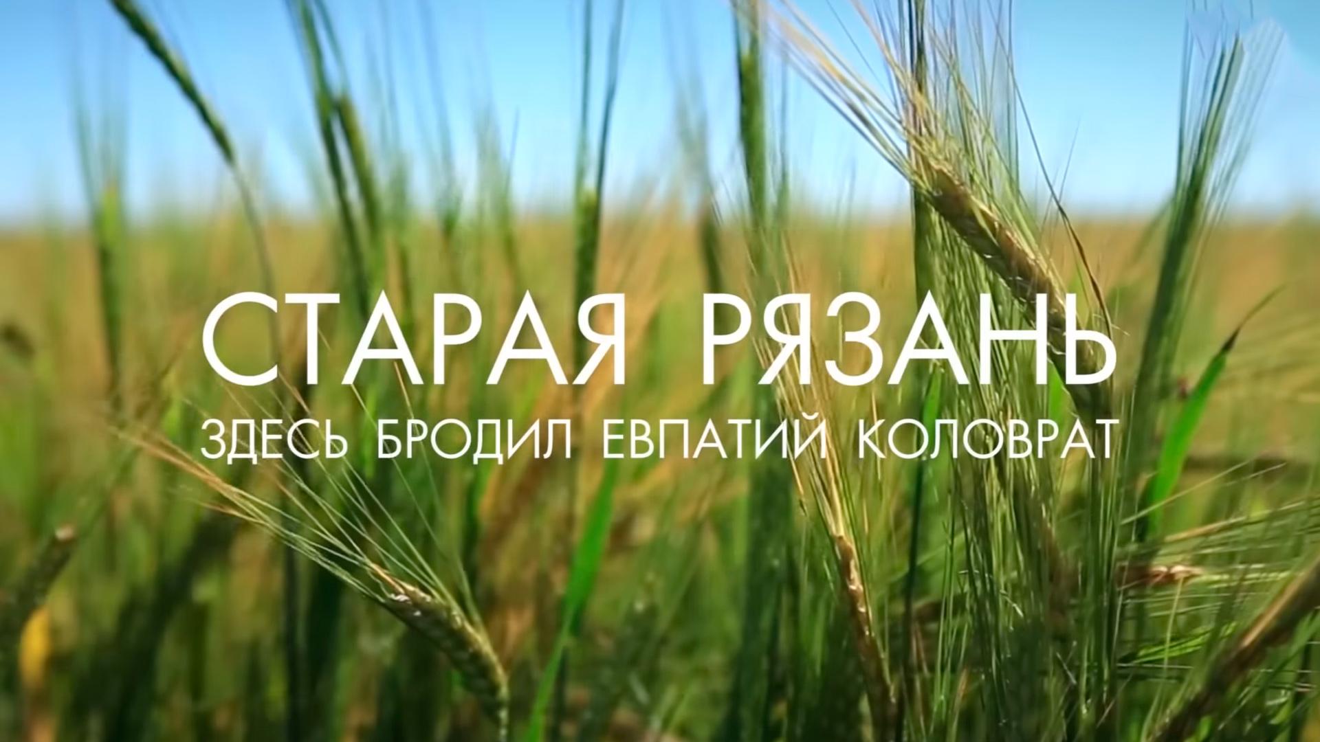 Старая Рязань. Здесь бродил Евпатий Коловрат (staraja-rjazan-zdes-brodil-evpatij-kolovrat) Документальный фильм
