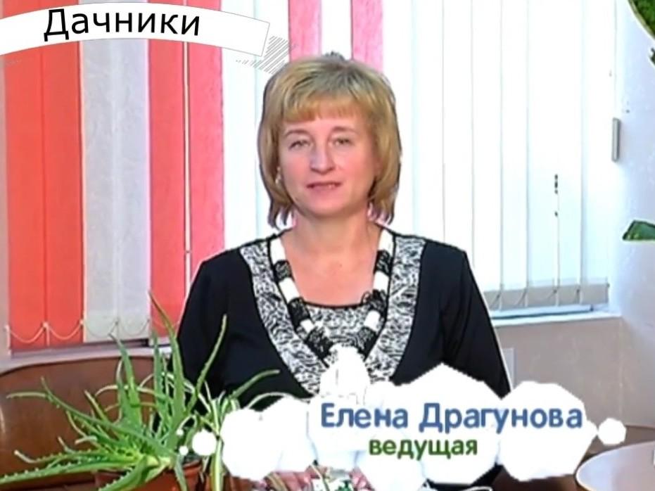 Дачники с Еленой Драгуновой (dachniki-s-elenoj-dragunovoj) Досуг, хобби