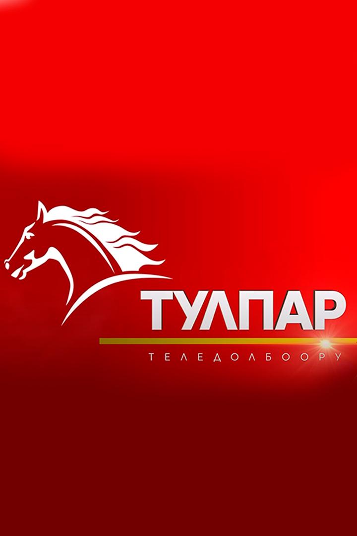 Тулпар (tulpar) Досуг, хобби