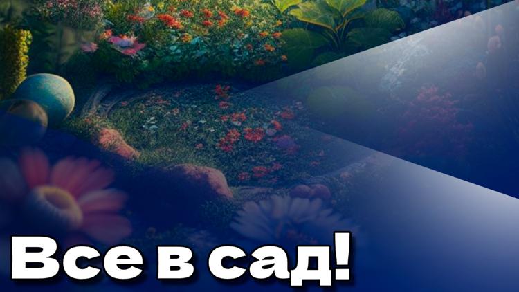 Постер Все в сад