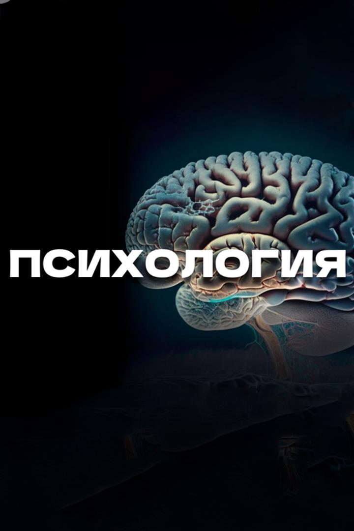 Психология (psihologija) Познавательное