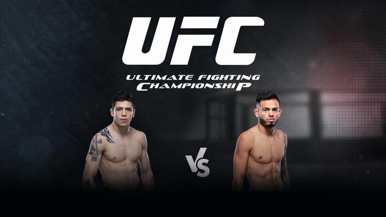 Постер UFC. Brandon Moreno vs Brandon Royval