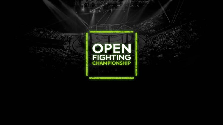 Постер Смешанные единоборства. Open Fighting Championship