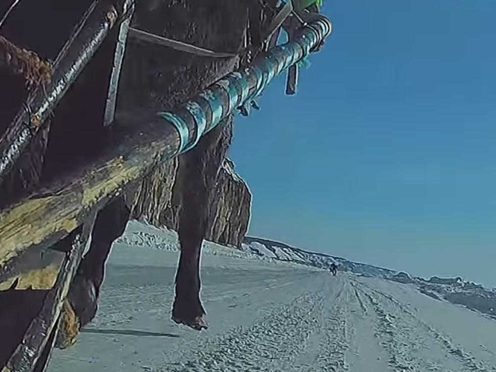 Ямщицкая гоньба (jamschitskaja-gonba) Документальный фильм