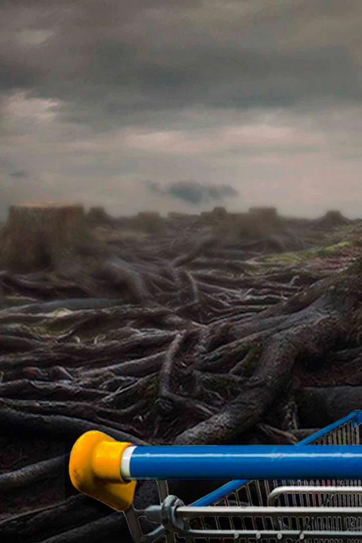 Wie Ikea den Planeten plündert (wie-ikea-den-planeten-plndert) Документальный фильм