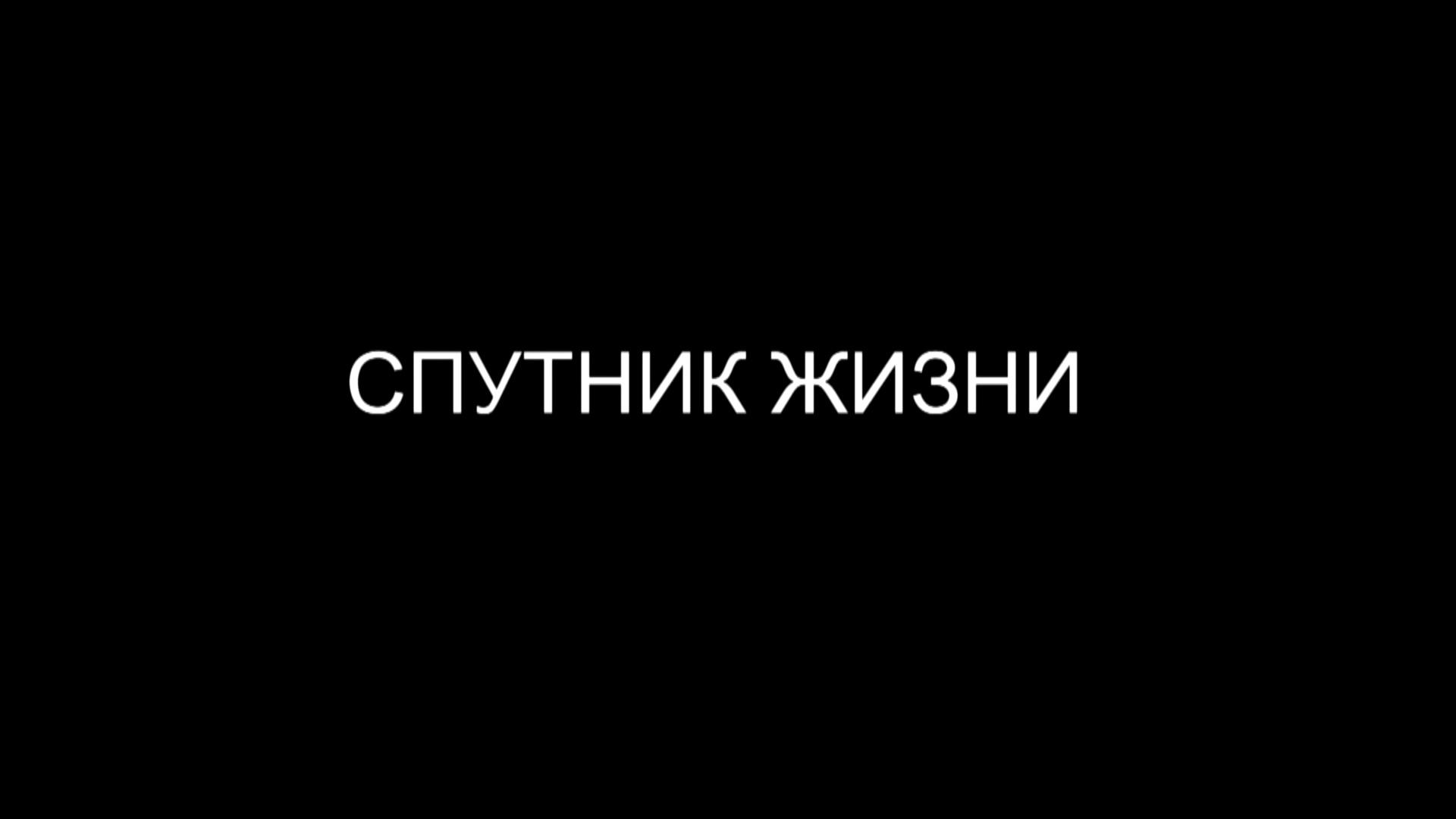 Спутник жизни (sputnik-zhizni) Документальный фильм