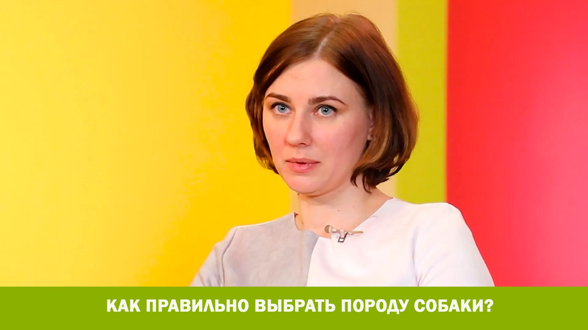 Как правильно выбрать породу собаки? (kak-pravilno-vybrat-porodu-sobaki) Познавательное